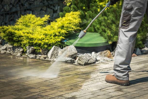 Best Solar Panel Cleaning  in Shelby, NC